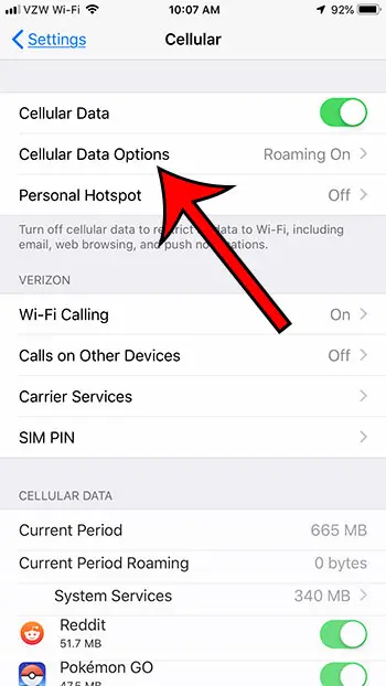 What Is Data Roaming On Iphone
