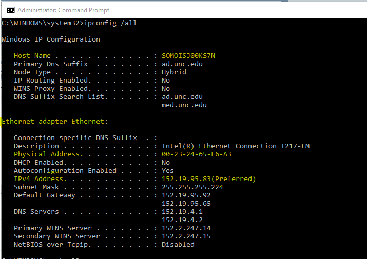 What is an IP address and how to find it?