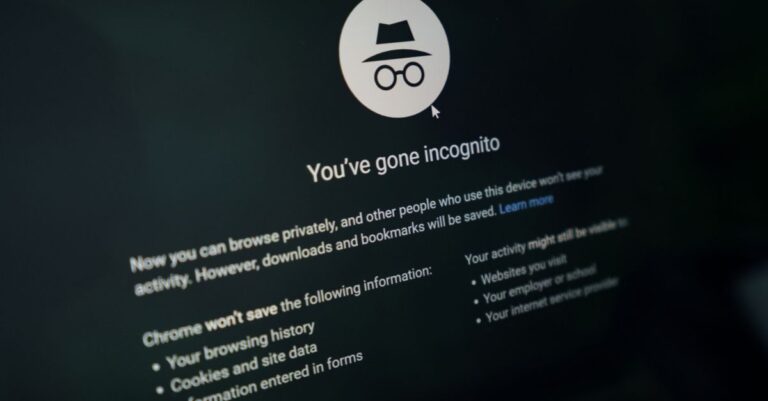 Who can see my private search history?
