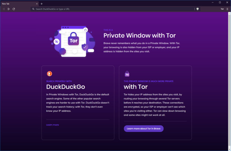 Which browser hides IP?
