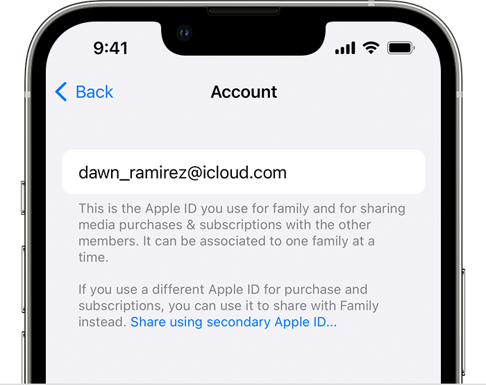 set up second iphone on same apple id