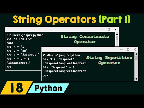 What is the use of * operator in string? — The Daily VPN